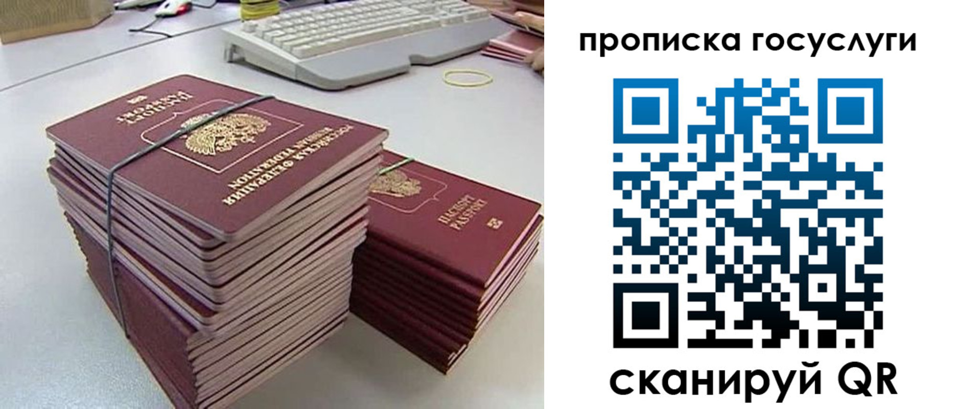 временная регистрация в квартире в Новосибирской области